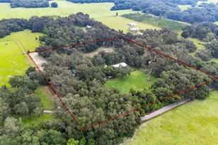 4457 Cr 542H, Bushnell, FL 33513 - Photo 65
