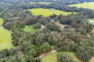 4457 Cr 542H, Bushnell, FL 33513 - Photo 73