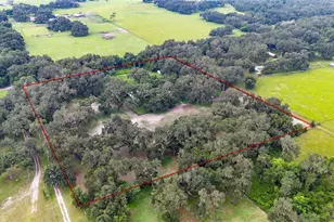 4457 Cr 542H, Bushnell, FL 33513 - Photo 71