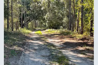 19751 County Road 33, Groveland, FL 34736 - Photo 7