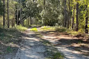 19751 County Rd 33, Groveland, FL 34736 - Photo 7