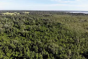 5329 Eagles Nest Rd, Fruitland Park, FL 34731 - Photo 45