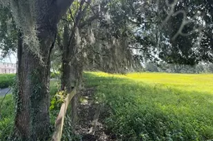 2231 Cr 543, Sumterville, FL 33585 - Photo 49