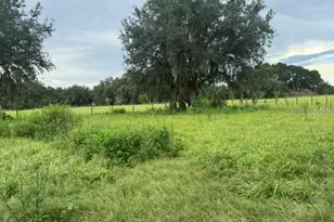 2231 Cr 543, Sumterville, FL 33585 - Photo 47