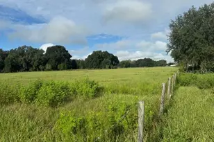 2231 Cr 543, Sumterville, FL 33585 - Photo 53