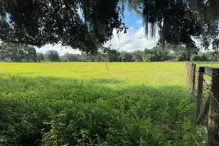 2231 Cr 543, Sumterville, FL 33585 - Photo 51