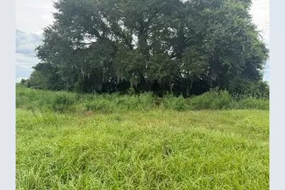 2231 Cr 543, Sumterville, FL 33585 - Photo 37