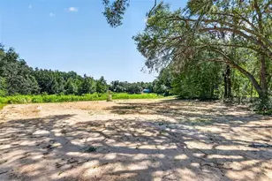 60 Guava Pass, Ocklawaha, FL 32179 - Photo 53