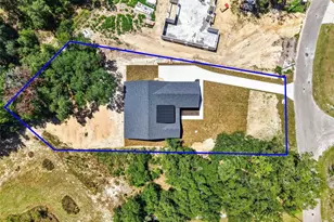 60 Guava Pass, Ocklawaha, FL 32179 - Photo 55