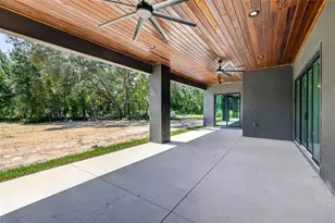 60 Guava Pass, Ocklawaha, FL 32179 - Photo 45