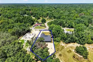 60 Guava Pass, Ocklawaha, FL 32179 - Photo 57