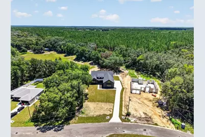60 Guava Pass, Ocklawaha, FL 32179 - Photo 9
