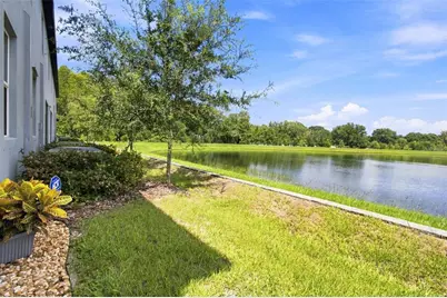 2213 Cerulean Sky Drive, Lutz, FL 33558 - Photo 41