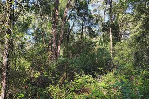 SW 158th Ln, Dunnellon, FL 34432 - Photo 1
