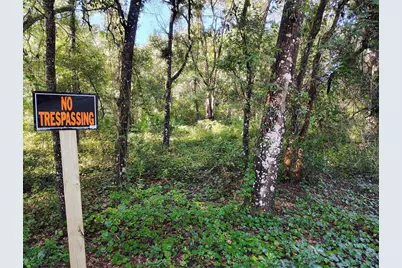 Sw 158th Lane, Dunnellon, FL 34432 - Photo 3