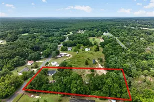11855 SE 141 Terrace, Ocklawaha, FL 32179 - Photo 49