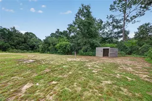 11855 SE 141 Terrace, Ocklawaha, FL 32179 - Photo 33