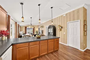 615 Osada Ave, The Villages, FL 32162 - Photo 11