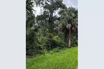 1423 Lemon Street, Deland, FL 32720 - Photo 5
