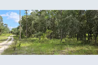 10442 E Moccasin Slough Road, Inverness, FL 34450 - Photo 3