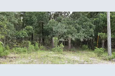 10400 E Moccasin Slough Road, Inverness, FL 34450 - Photo 3