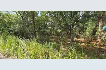 10400 E Moccasin Slough Road, Inverness, FL 34450 - Photo 5