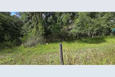 10400 E Moccasin Slough Road, Inverness, FL 34450 - Photo 7