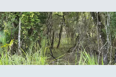 10442 E Moccasin Slough Road, Inverness, FL 34450 - Photo 5