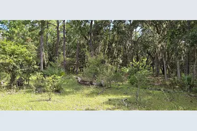 10442 E Moccasin Slough Road, Inverness, FL 34450 - Photo 7