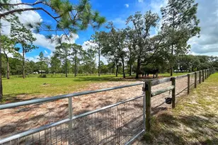 13591 SE 85th Pl, Dunnellon, FL 34431 - Photo 69