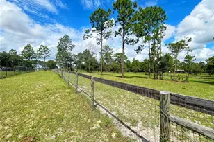 13591 SE 85th Pl, Dunnellon, FL 34431 - Photo 61