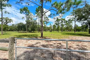 13591 SE 85th Pl, Dunnellon, FL 34431 - Photo 71
