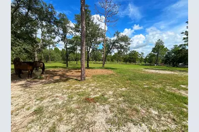 13591 SE 85th Place, Dunnellon, FL 34431 - Photo 59