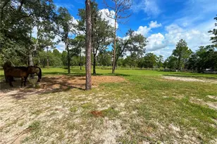 13591 SE 85th Pl, Dunnellon, FL 34431 - Photo 59