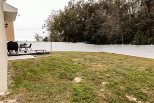 3250 Blue Crab Dr, Tavares, FL 32778 - Photo 29