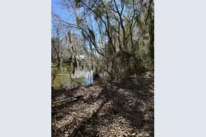 Ocklawaha Drive, Leesburg, FL 34788 - Photo 3