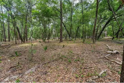 Se 152nd - Lot 16 (Ravenswood Rd) Parcel B Place, Altoona, FL 32702 - Photo 31