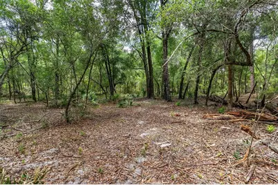 Se 152nd - Lot 16 (Ravenswood Rd) Parcel B Place, Altoona, FL 32702 - Photo 17