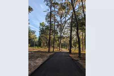 Se 152nd - Lot 16 (Ravenswood Rd) Parcel B Place, Altoona, FL 32702 - Photo 7