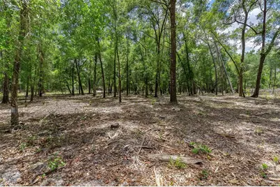 Se 152nd - Lot 16 (Ravenswood Rd) Parcel B Place, Altoona, FL 32702 - Photo 13