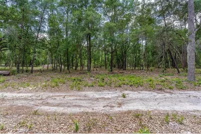 Se 152nd - Lot 16 (Ravenswood Rd) Parcel B Place, Altoona, FL 32702 - Photo 29