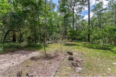 Se 152nd - Lot 16 (Ravenswood Rd) Parcel B Place, Altoona, FL 32702 - Photo 19