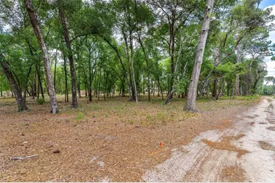 Se 152nd - Lot 16 (Ravenswood Rd) Parcel B Place, Altoona, FL 32702 - Photo 37
