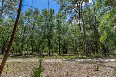 Se 152nd - Lot 16 (Ravenswood Rd) Parcel B Place, Altoona, FL 32702 - Photo 27