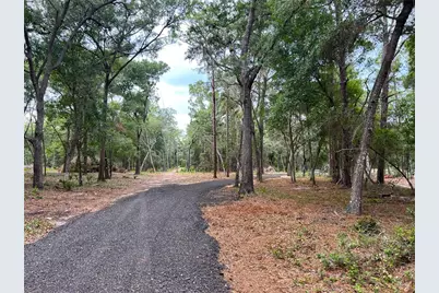 Se 152nd - Lot 16 (Ravenswood Rd) Parcel B Place, Altoona, FL 32702 - Photo 9