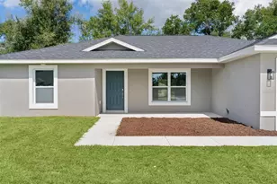 194 Malauka Run, Ocklawaha, FL 32179 - Photo 3