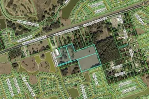 Bigham Trail, Wildwood, FL 34785 - Photo 1