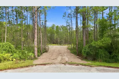 Alder Way, Eustis, FL 32736 - Photo 1