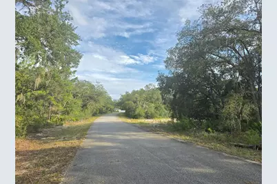 Fisher Way, Ocklawaha, FL 32179 - Photo 3
