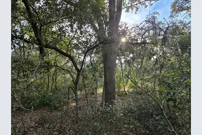 Fisher Way, Ocklawaha, FL 32179 - Photo 5